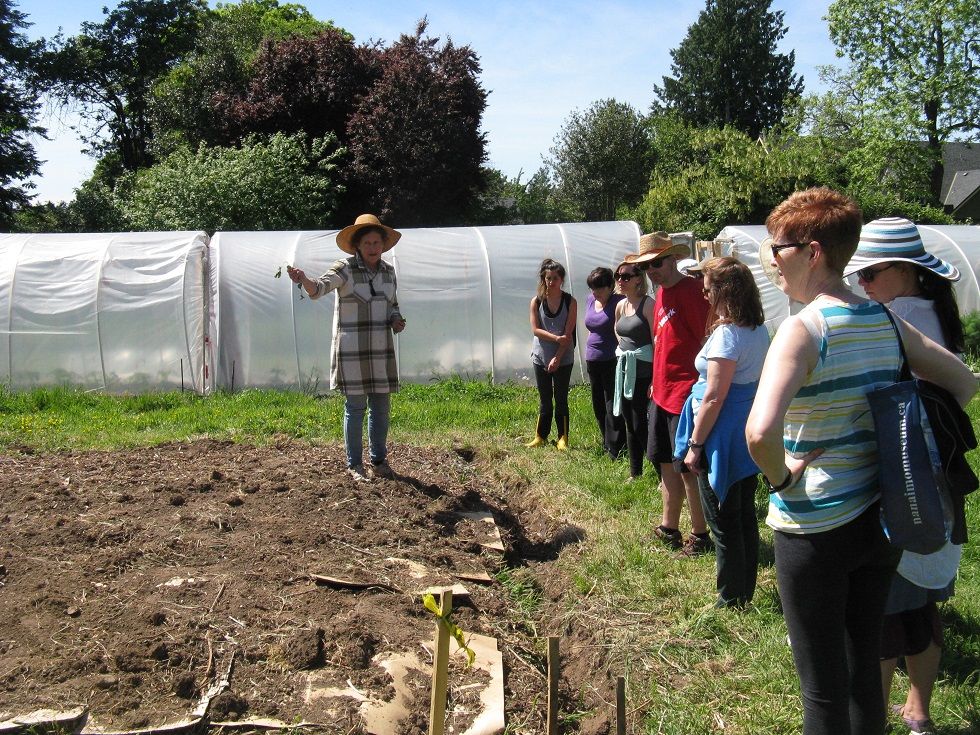 Growing Food on the Farm