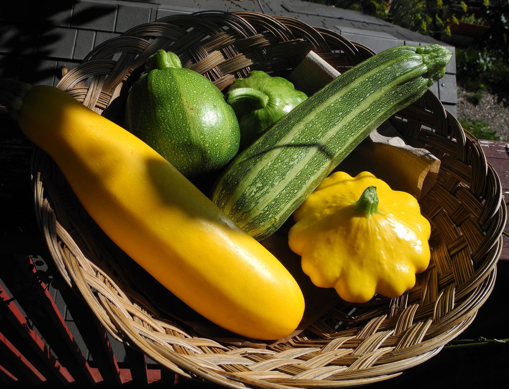 Too many zucchini?
