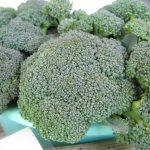 2016May25FarmstandBroccoli