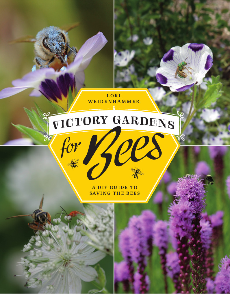 We’re Buzzed!