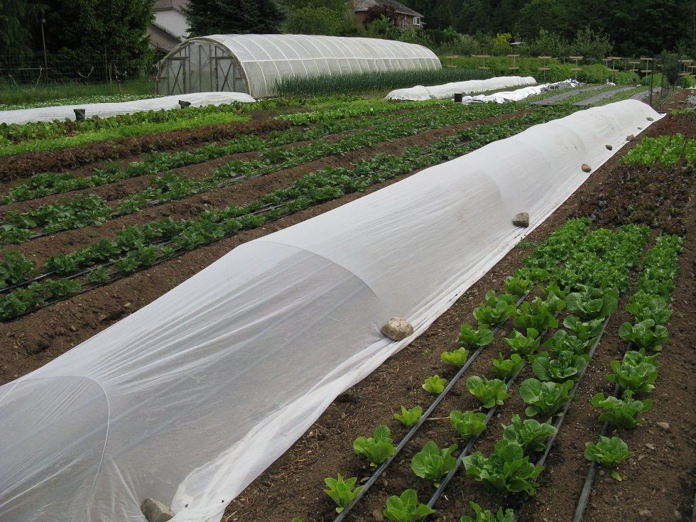 Opportunities at Haliburton Farm
