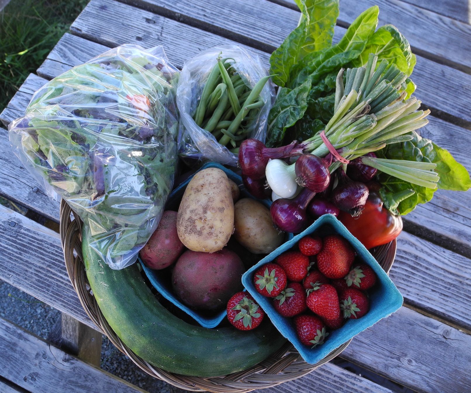 2017 Food Boxes – Subscribe now!