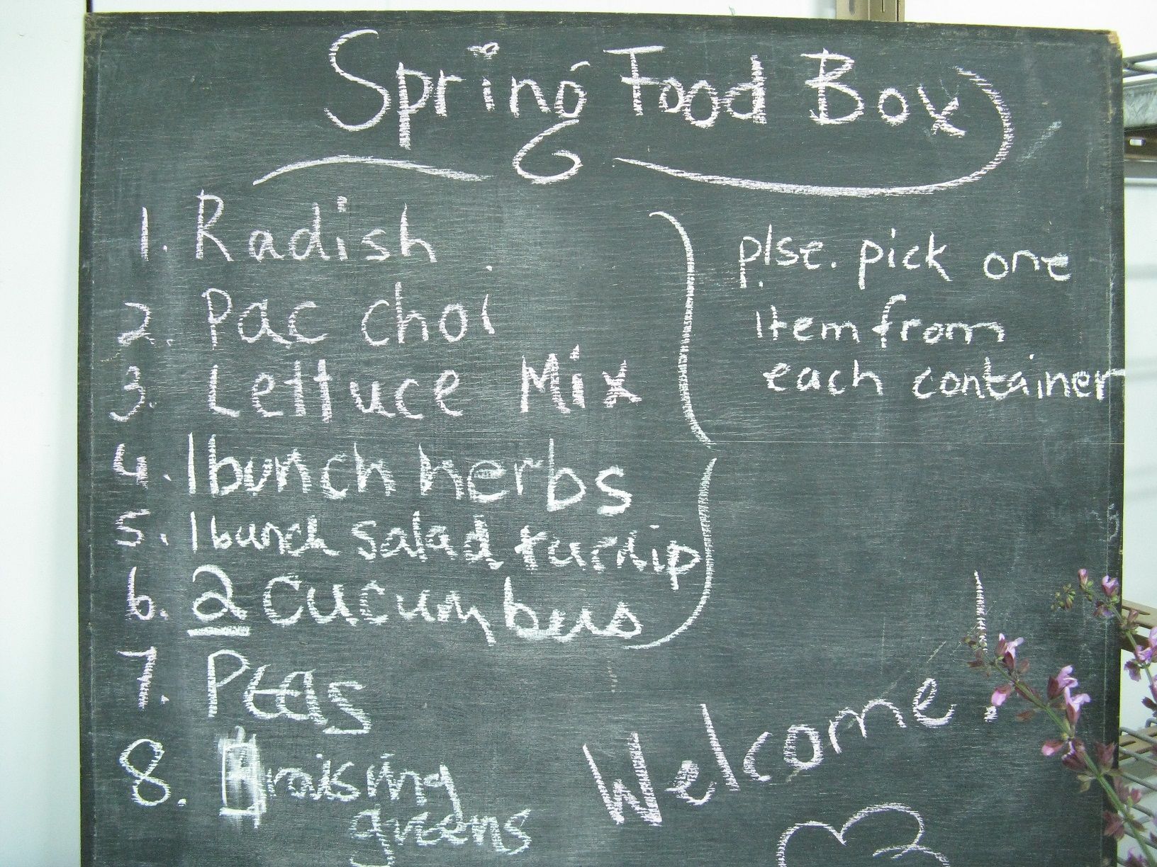 Food Box Springs to Life Next Week!