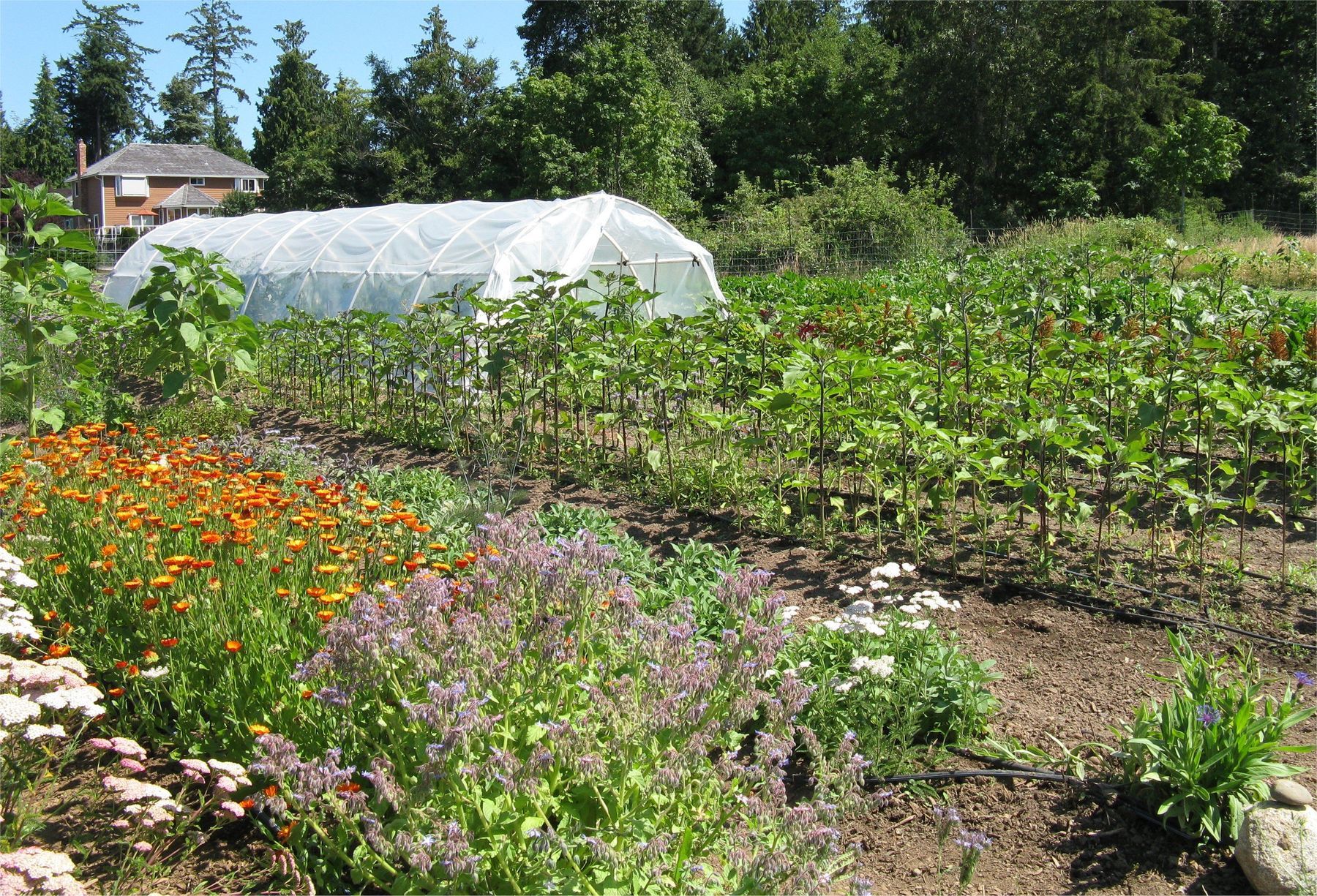 Calling new farmers!