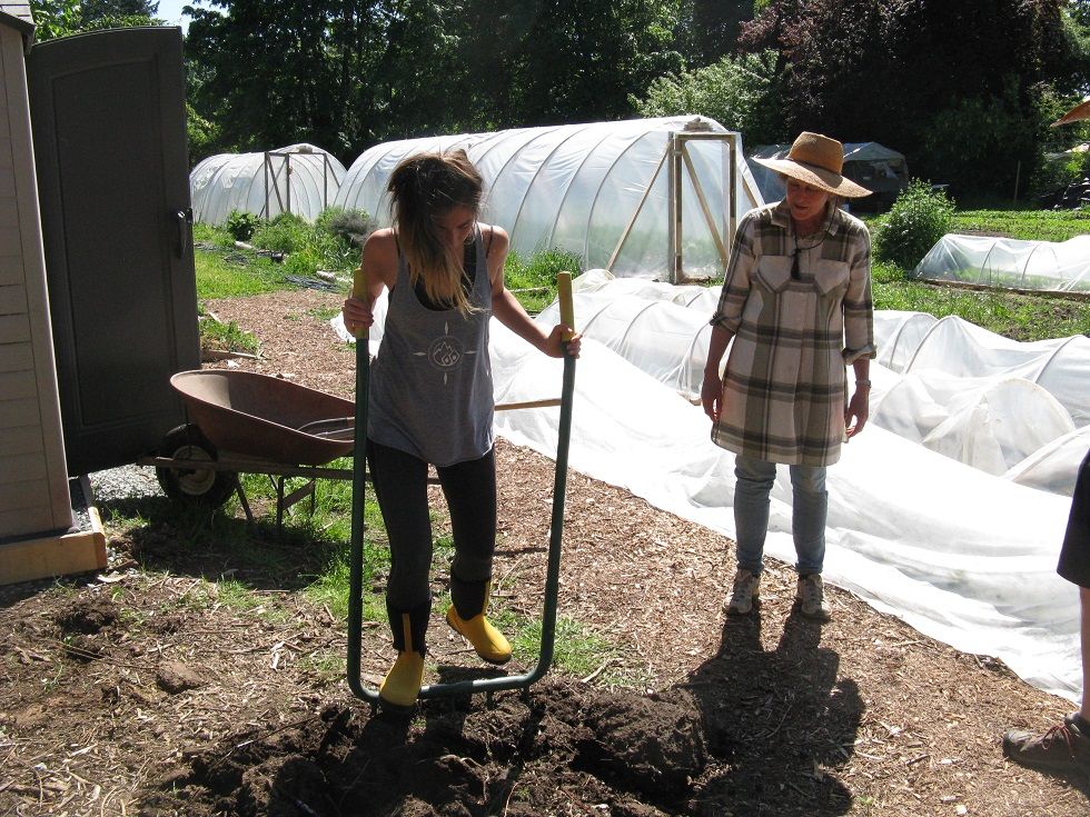 Grow Some Food!