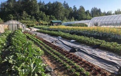 Organic farm plot available for lease at Haliburton Farm!